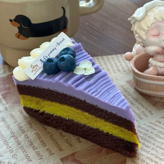Cake Slice Taba Squishy Toy