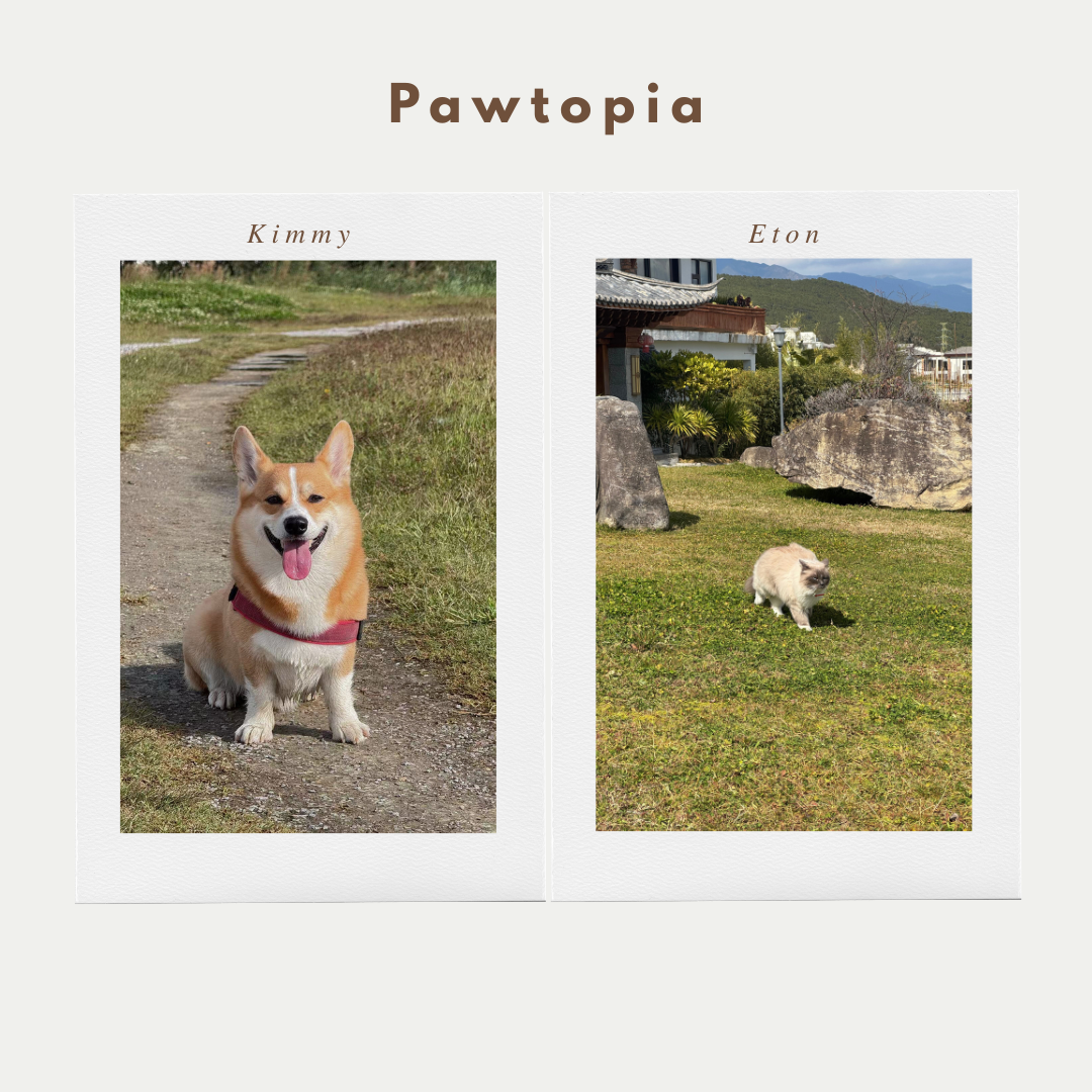 Pawtopia Custom Name Necklace - Two Names